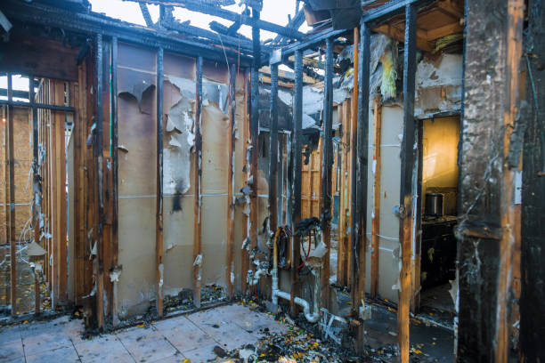 Professional Fire Damage Removal technician working in Crofton, MD